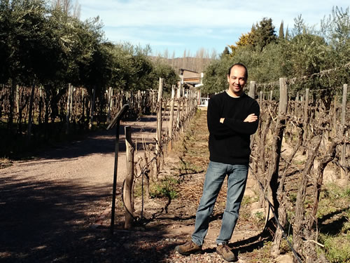 Domaine St. Diego - Em meio às oliveiras e aos parreirais dormentes