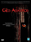 Ces Assassinos