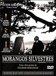 Morangos Silvestres